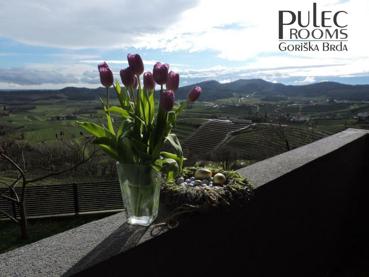 Apartma Sobe Pulec