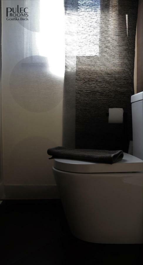 Apartma Sobe Pulec