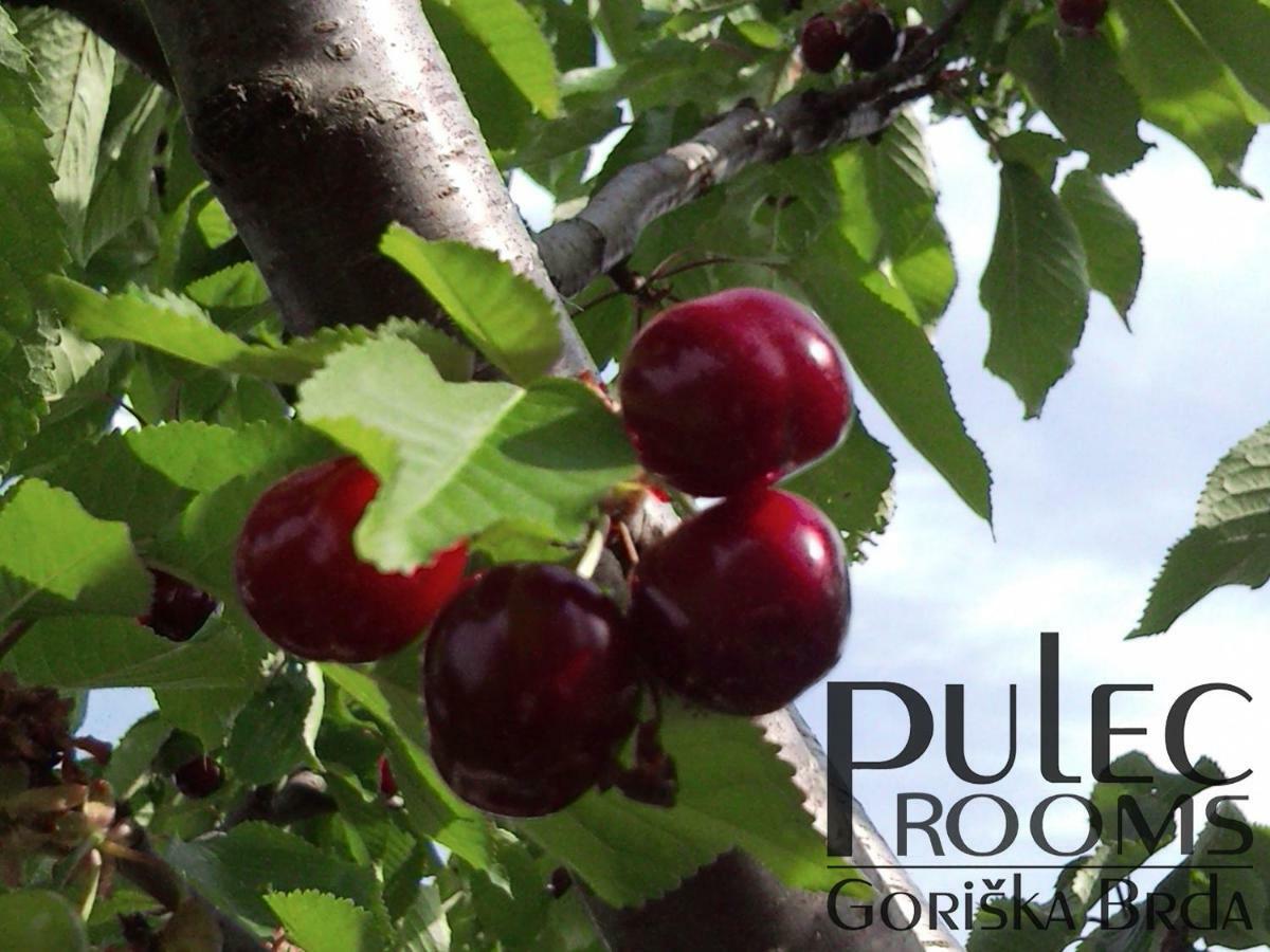 Apartma Sobe Pulec Apartment *